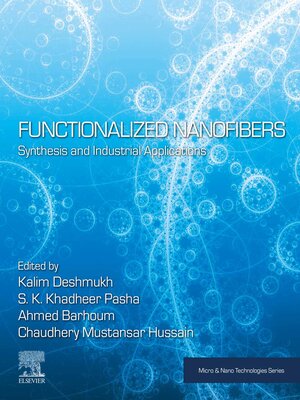 cover image of Functionalized Nanofibers